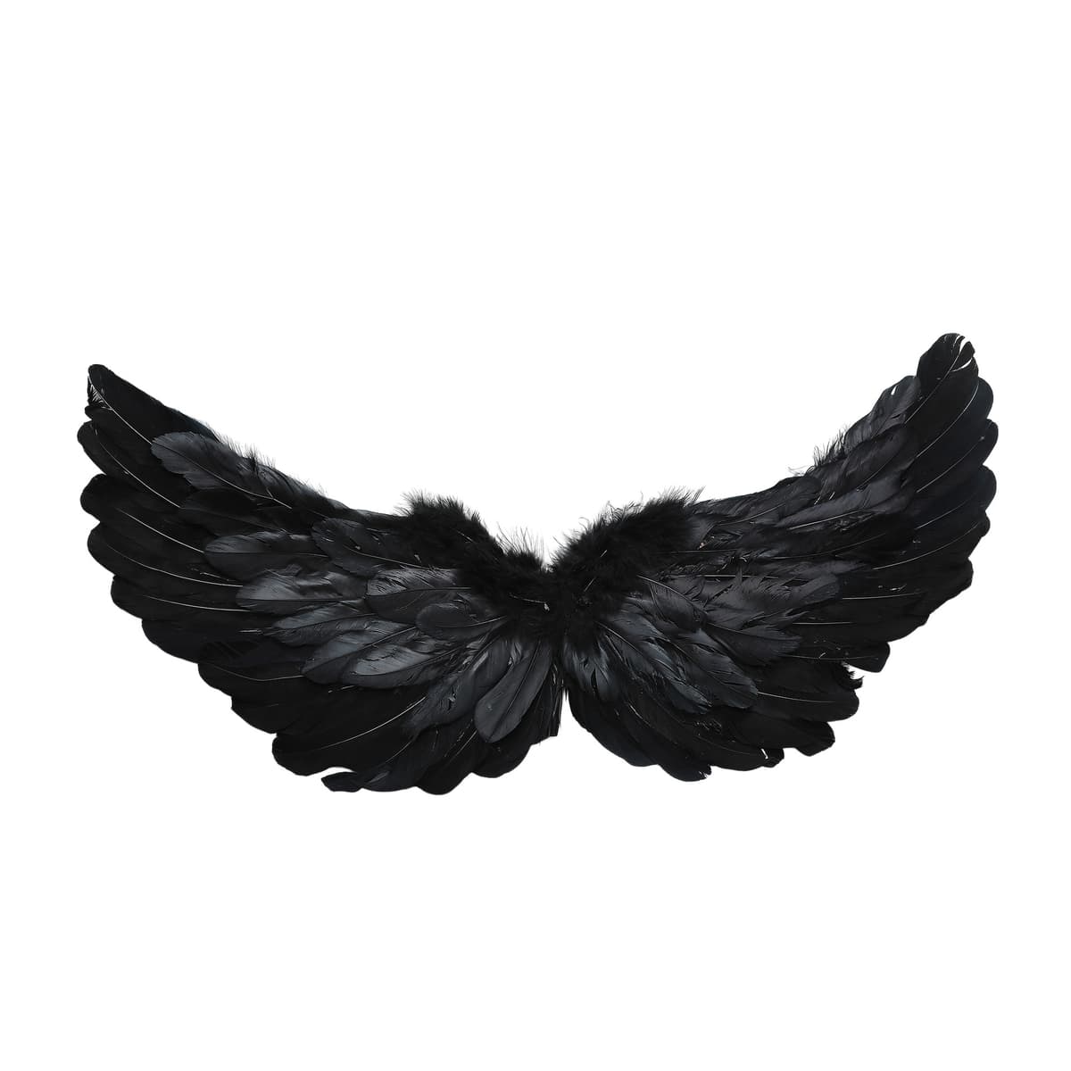 Black feather wings
