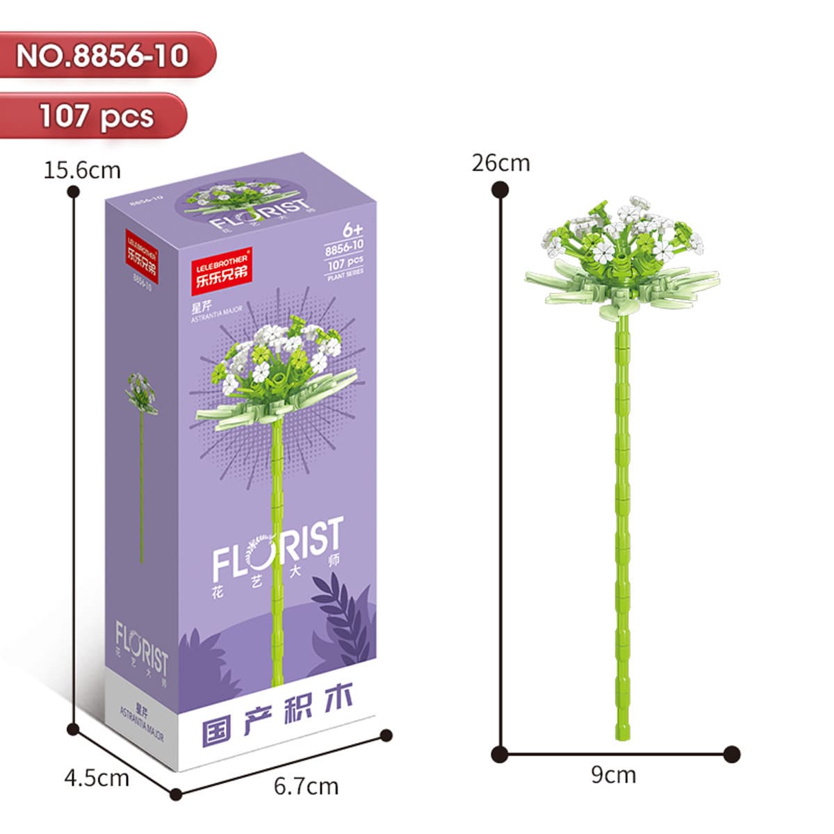 8856-10 Star Celery 107pcs