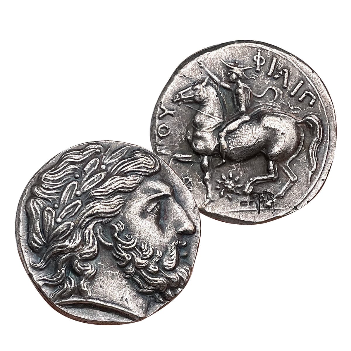 Zeus sagittarius 24.5mm
