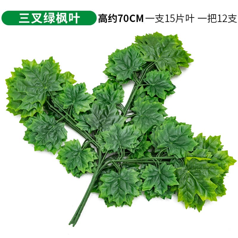 Trigeminal green maple leaf single