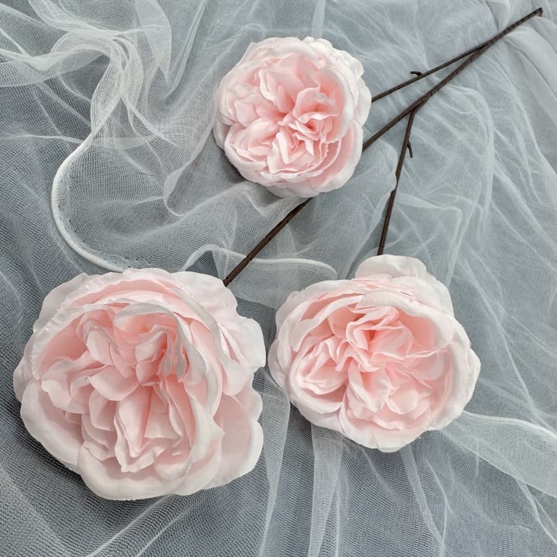 Lotus root pink
