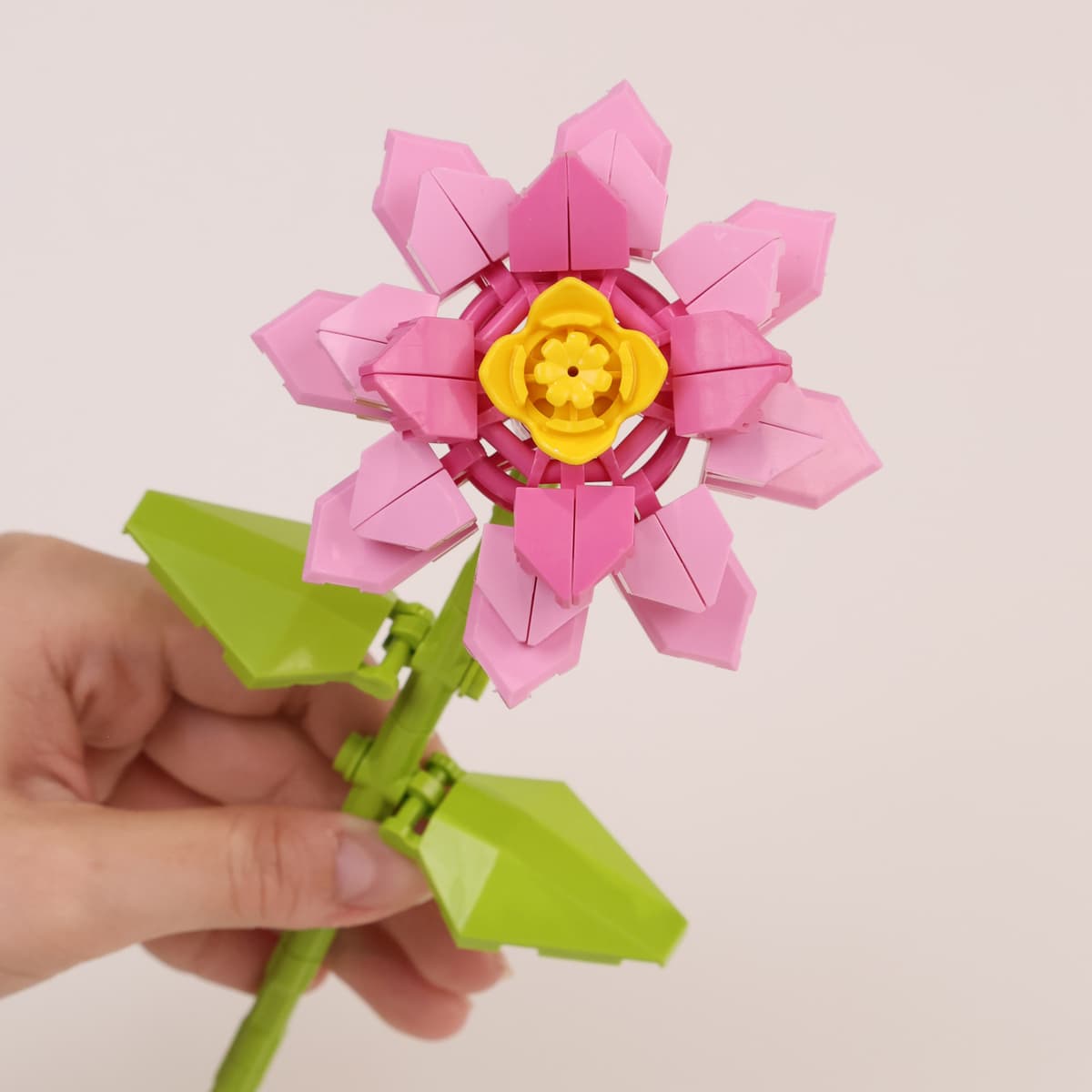 Longevity flower