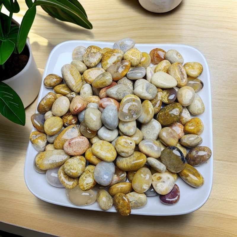 Yellow coral stone [1.5-2cm] (100g)