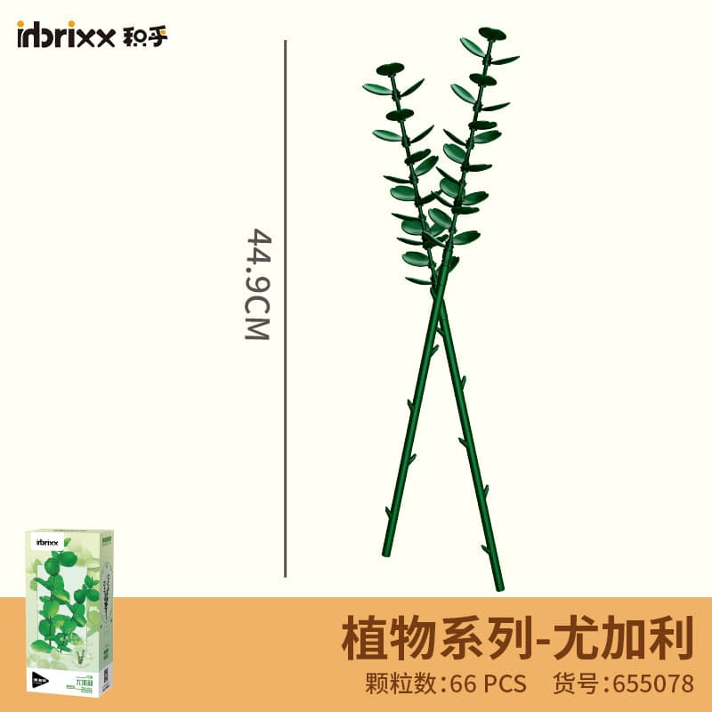 655078 eucalyptus leaves