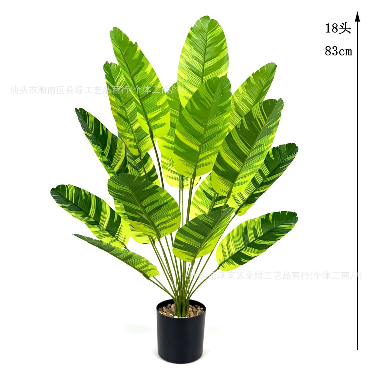 18 green brocade banana leaves 83cm (excluding pot)