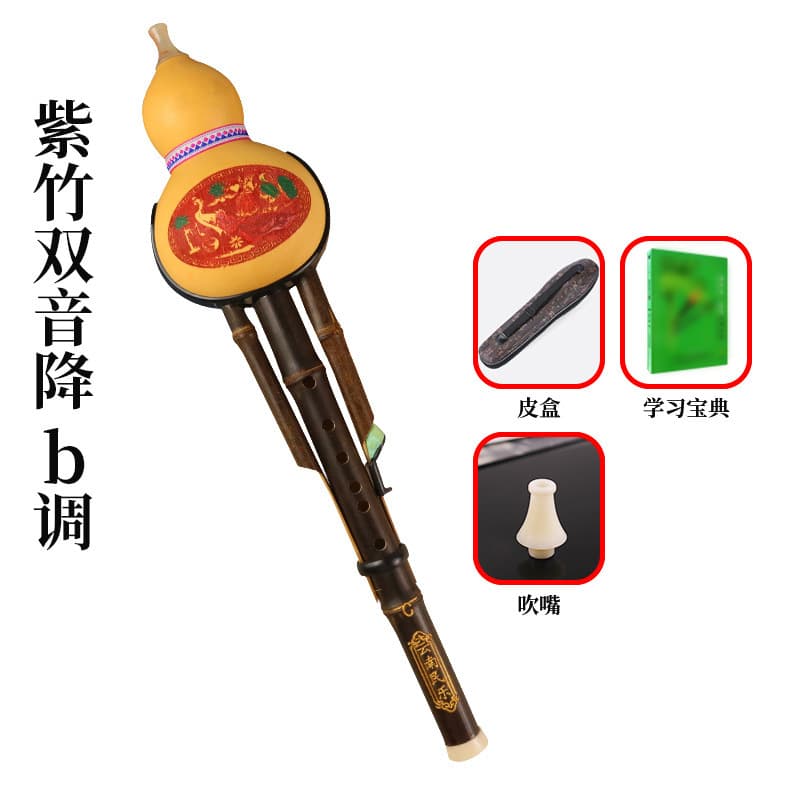 Classic purple bamboo two-tone b flat + box + learning book + mouthpiece