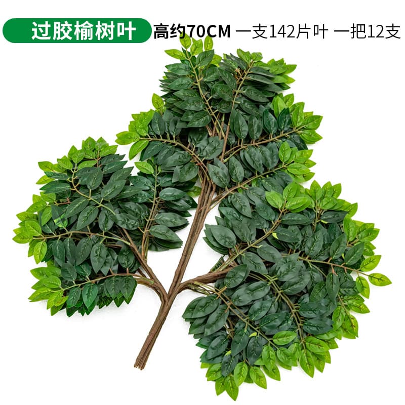 One gum Elm leaf