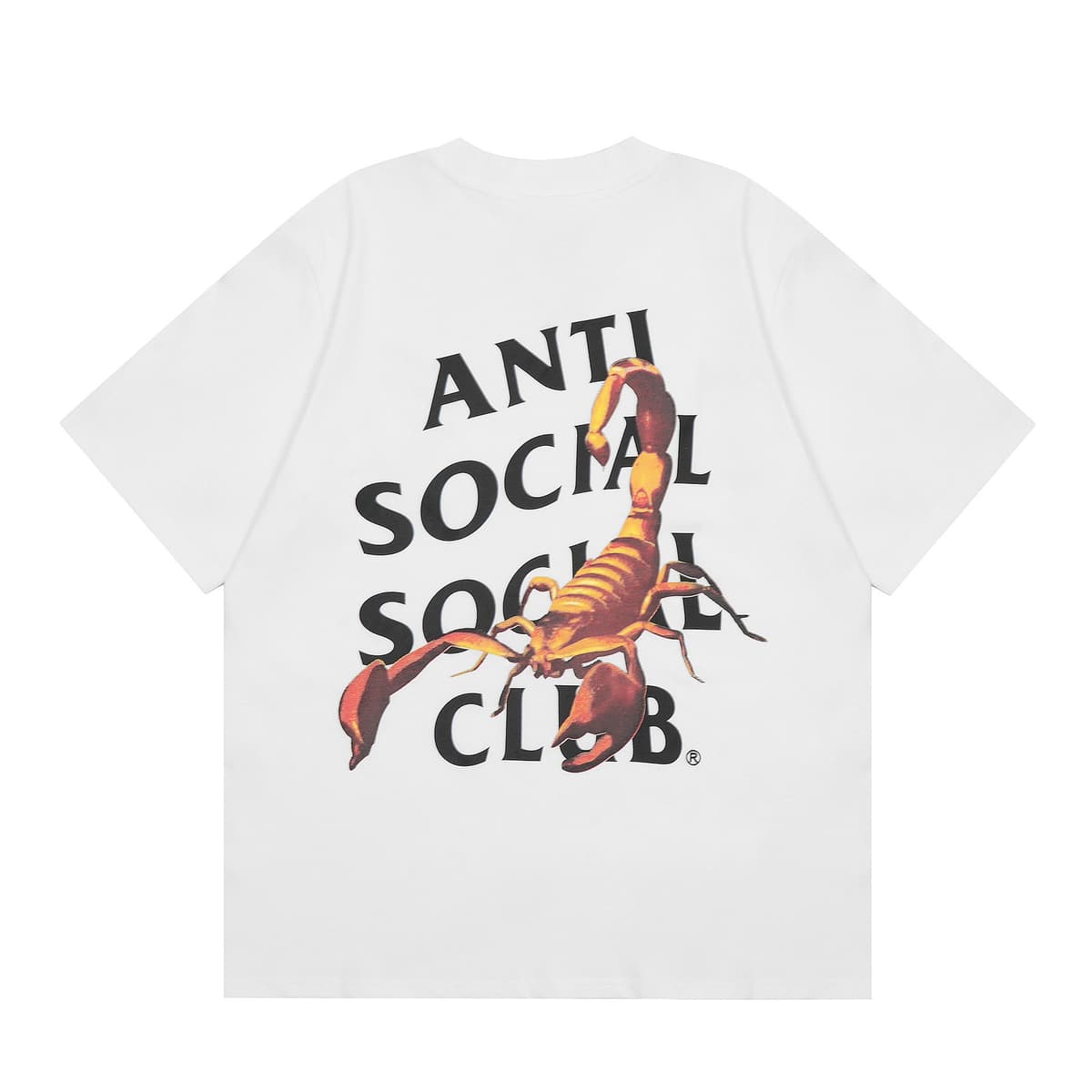 3102 white