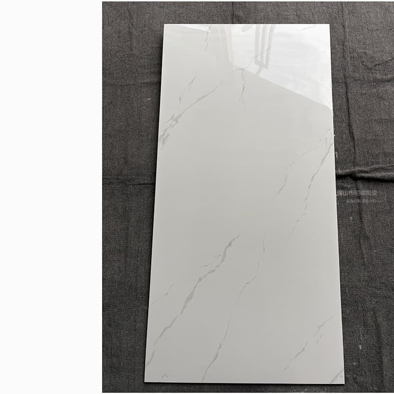 Style 19 all-ceramic appendix g