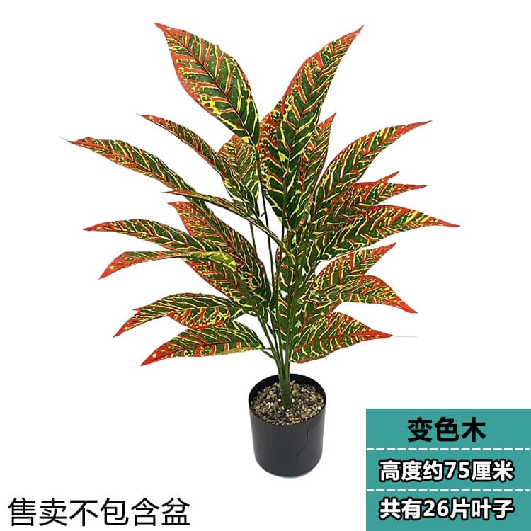 26 leaf color changing wood