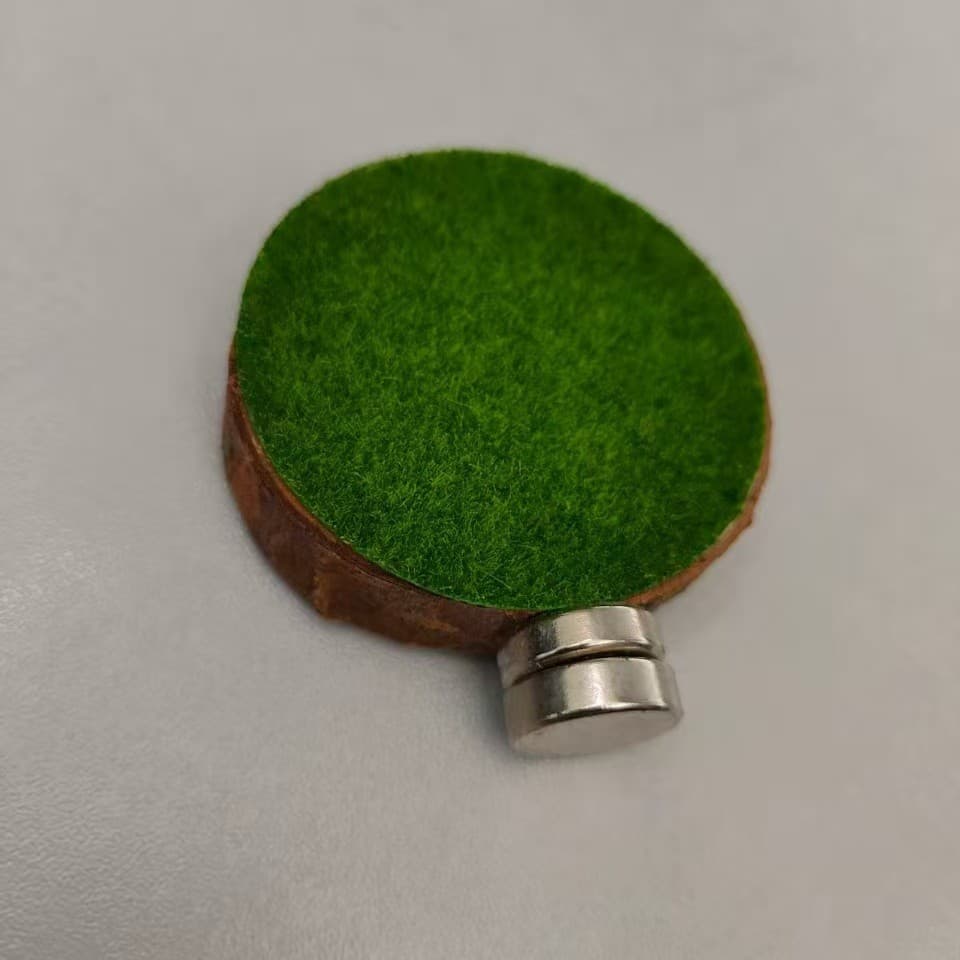 Round wooden chips + 1 pair of magnets (with turf)
