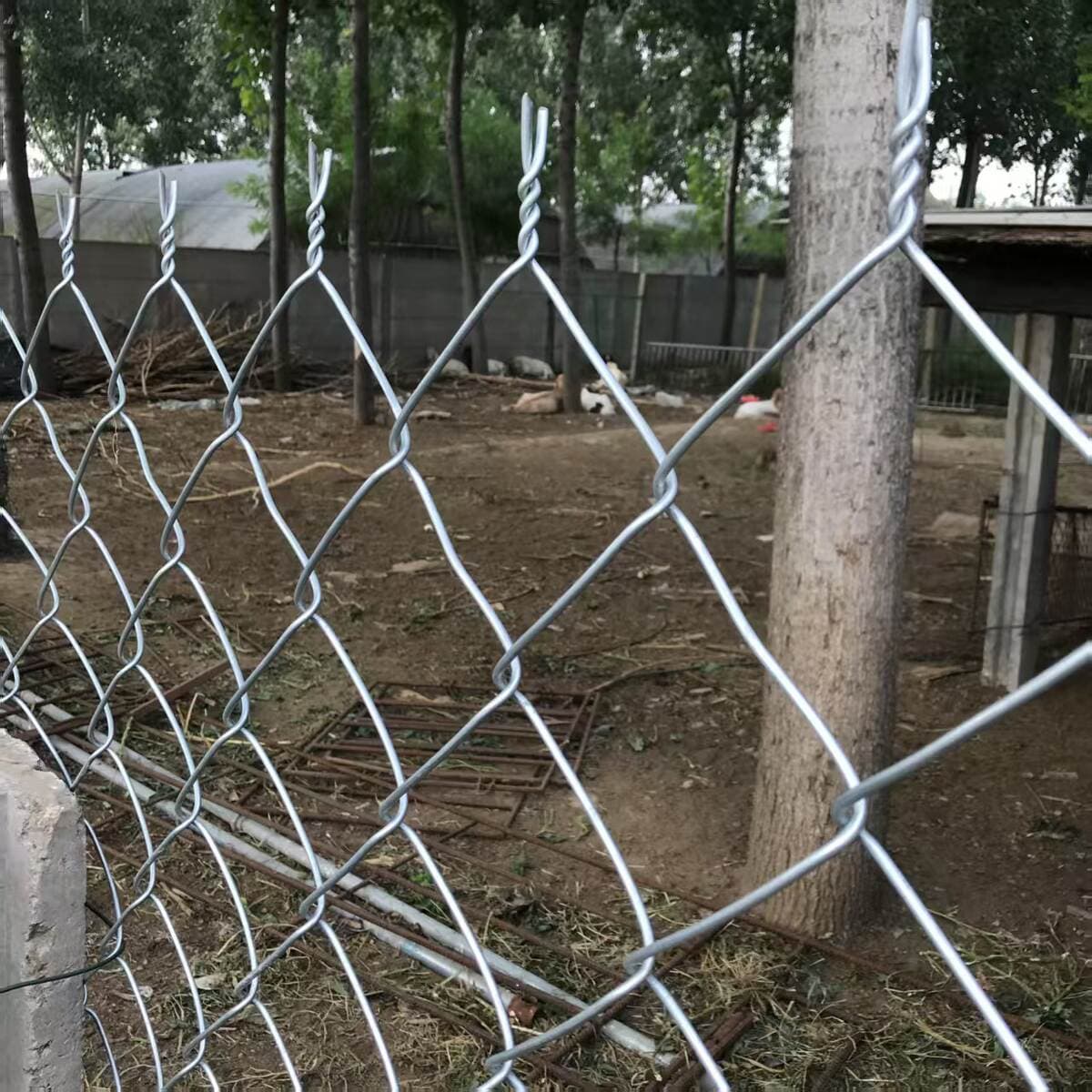 Mine diamond hook net hot galvanized barbed wire hook net plastic hexagonal net twist flower breeding net manufacturers 4