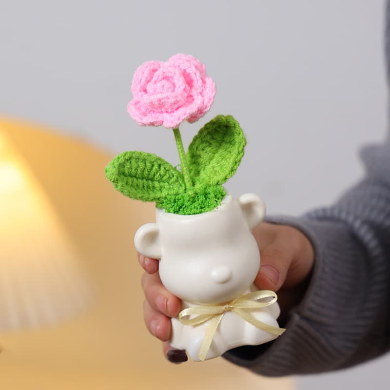 Light pink rose