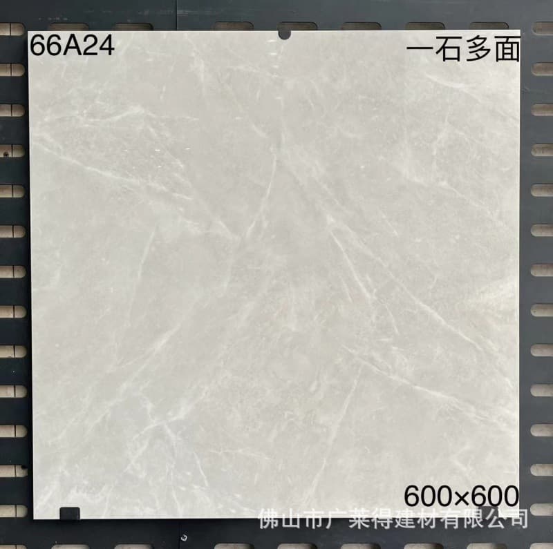66A24