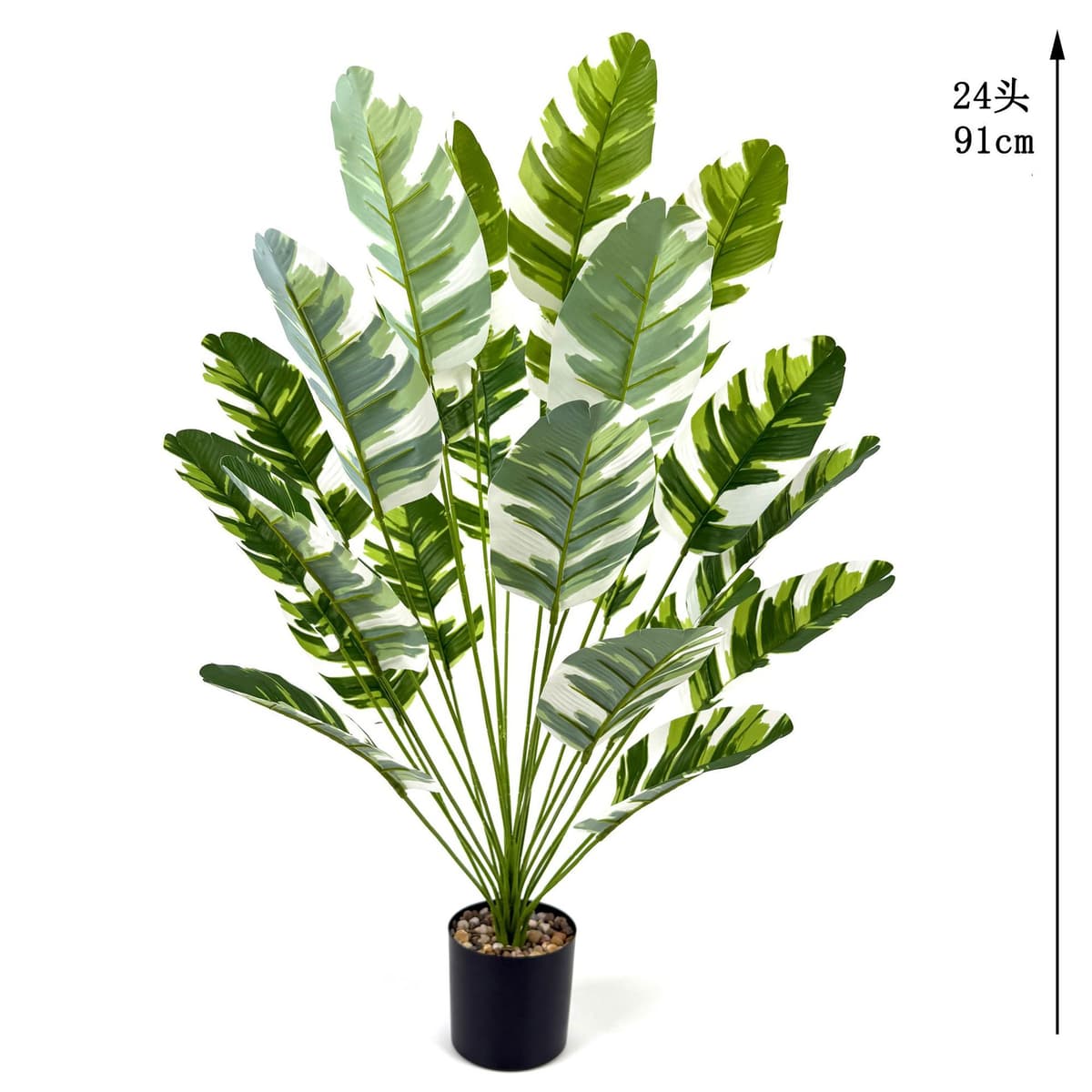24 white brocade banana leaves 91cm (excluding pot)