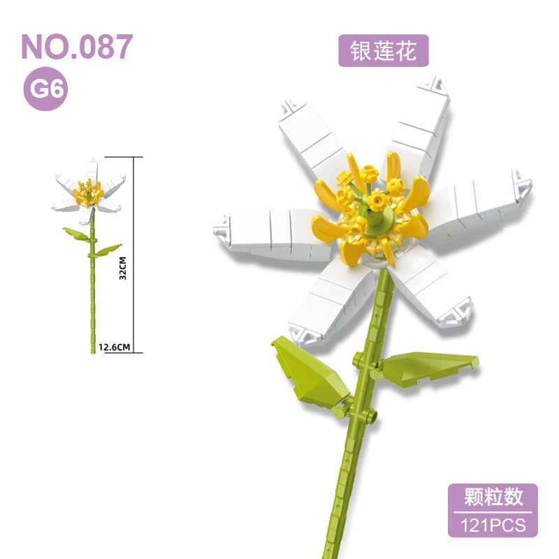 087g6 anemone
