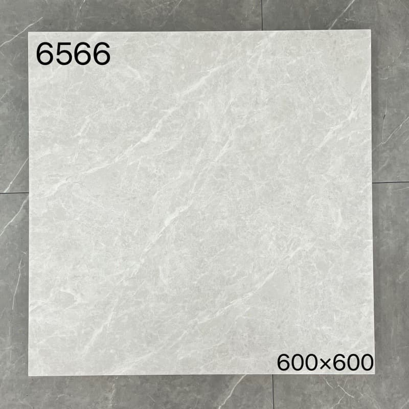 6566