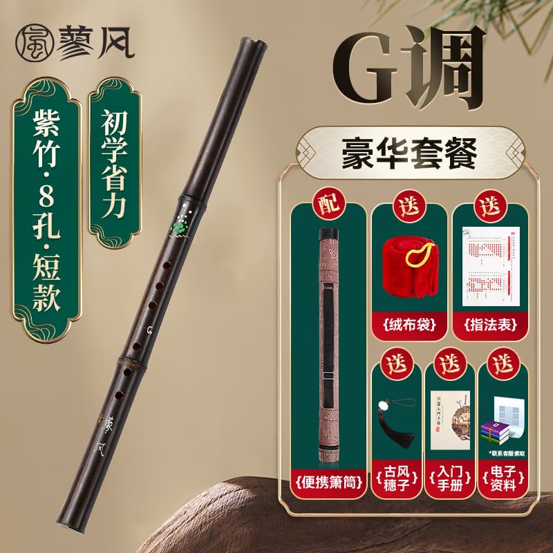 Short g key 8 holes + flute tube + full set of gifts