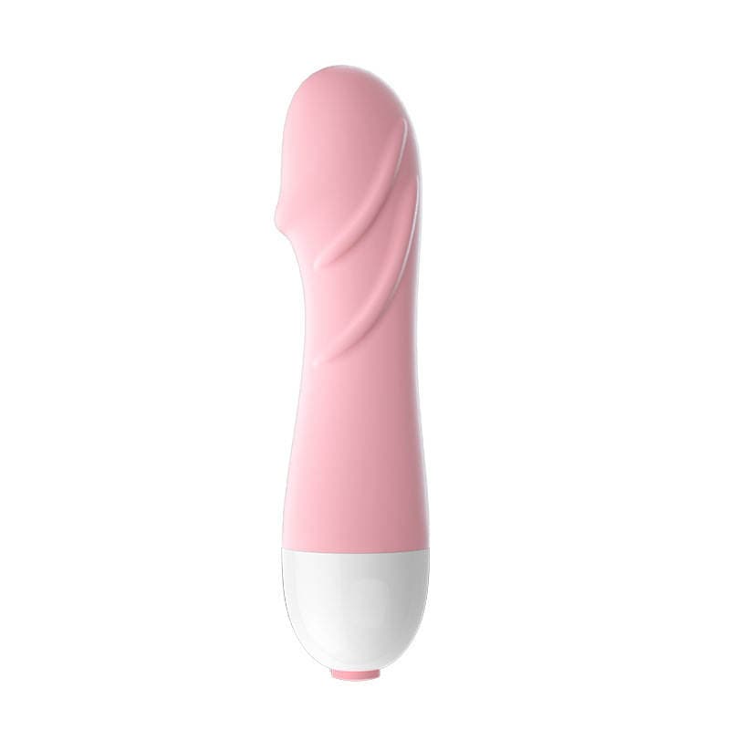 Laile Little Turtle Mini Vibrator Qadınlar üçün 5