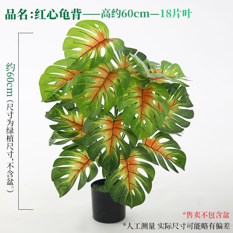 18-leaf red heart turtle leaf