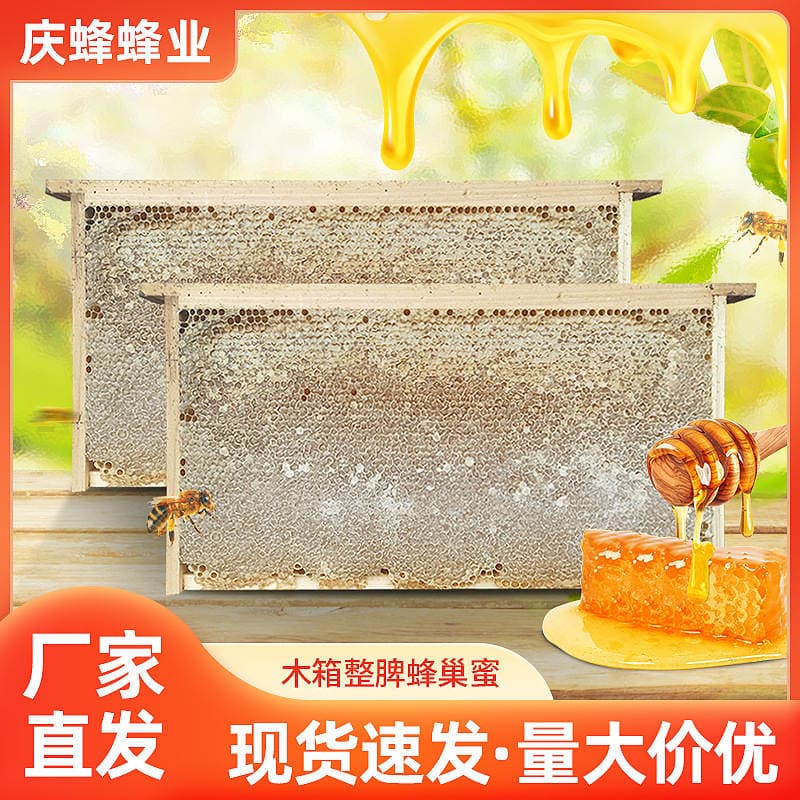 Jingzhang Bütün Pətək Balı (Taxta Qutuda) 1