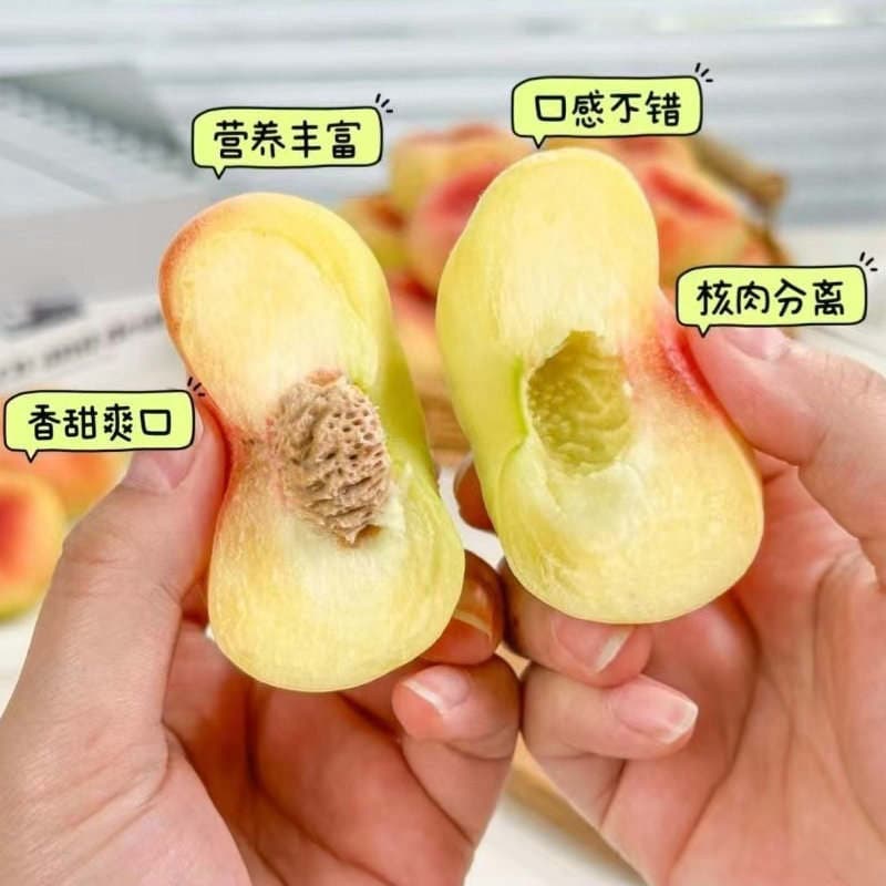 Authentic Xinjiang Shihézi 143 Group Flat Peaches 1.5kg 2.5kg Fresh Seasonal Fruit Large Flat Peaches Whole Box 3