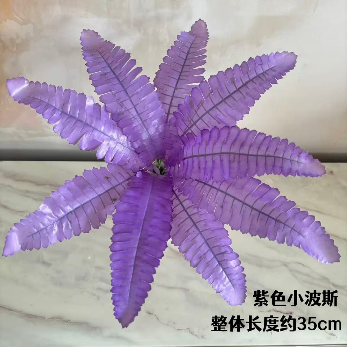 9-leaf persian violet (small leaf)