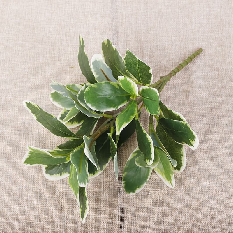 35-leaf White Haitong [white and green]]