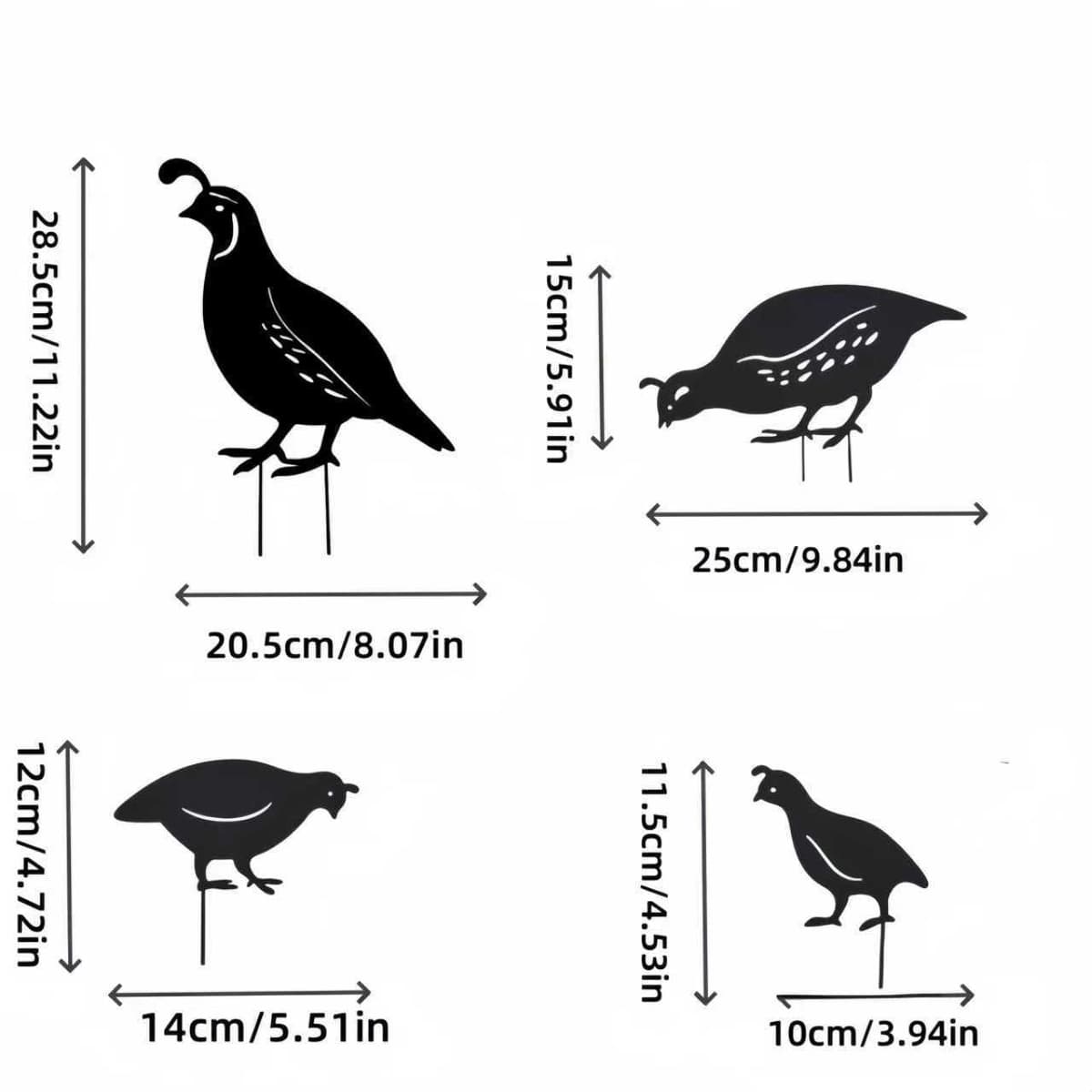 Black quail