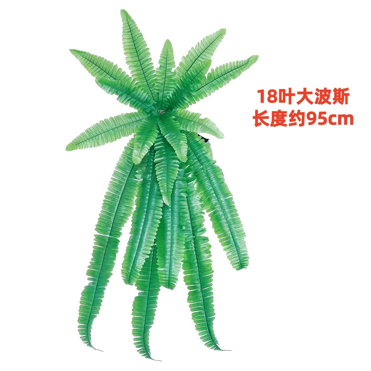 18-leaf big persian( 95cm )