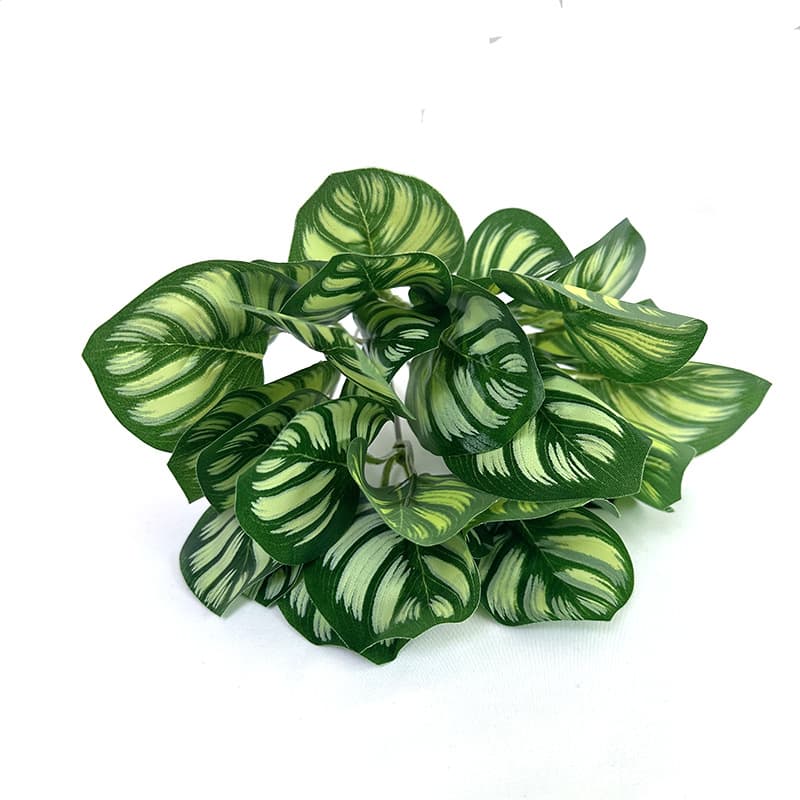 Seven-pronged striped leaf