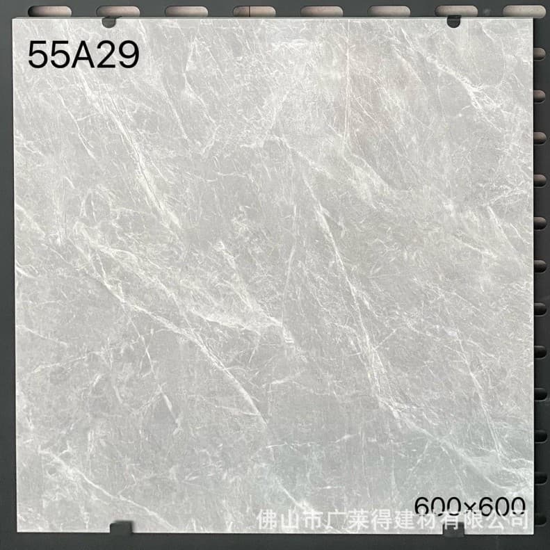 55A29