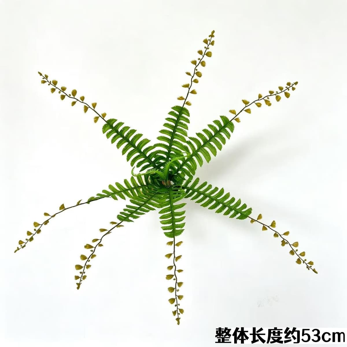 9 persian grass with whiskers (light)