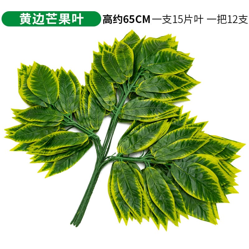 Yellow edge mango leaf single price