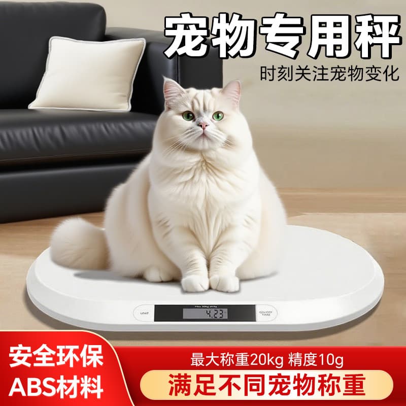 [20kg battery] increase the scale surface white