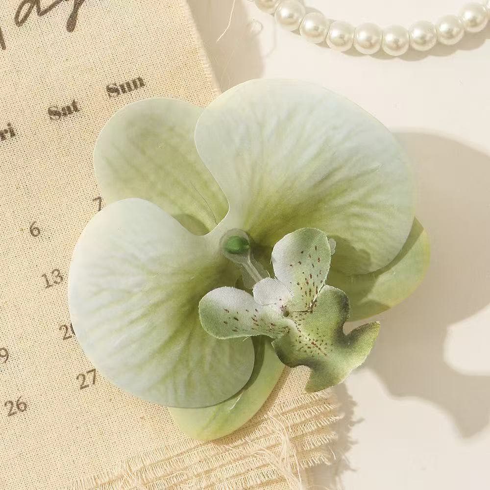 5081 phalaenopsis-white edge matcha green