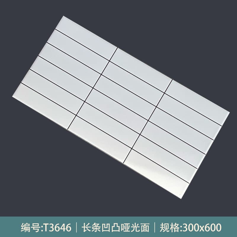 T3646 [matte Style]]