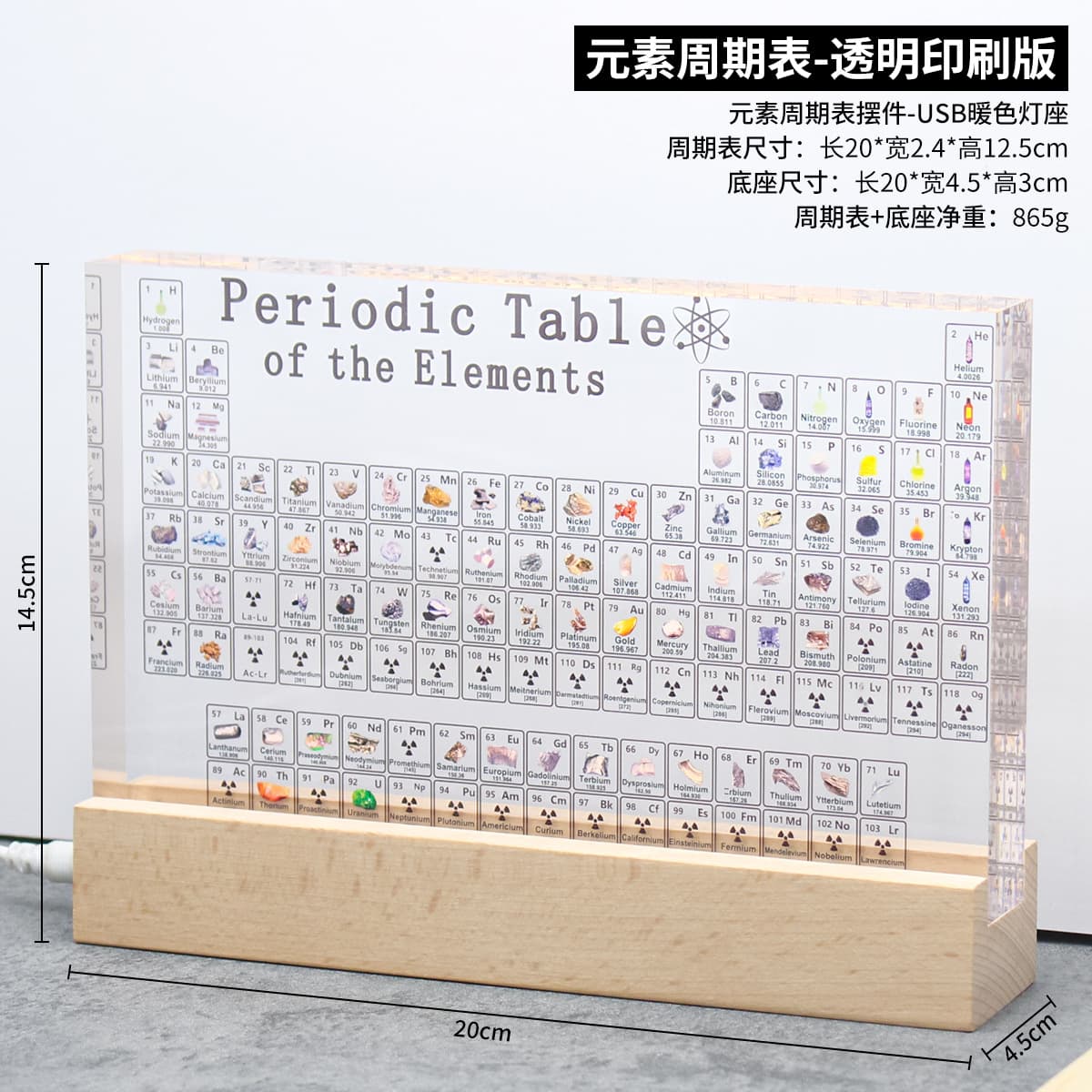 Large transparent printed model + usb light base