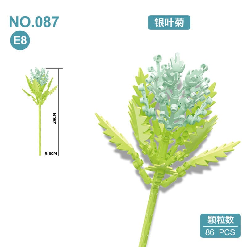 087e8 silver leaf chrysanthemum