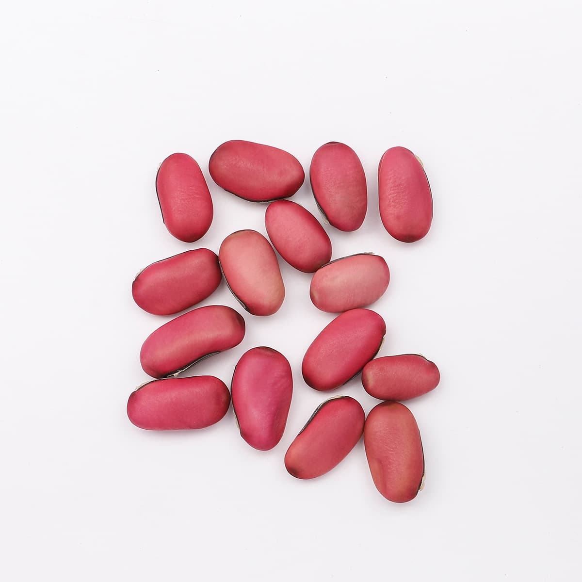 Red kidney bean/single