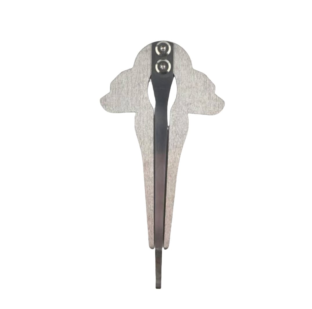 Silver triangle