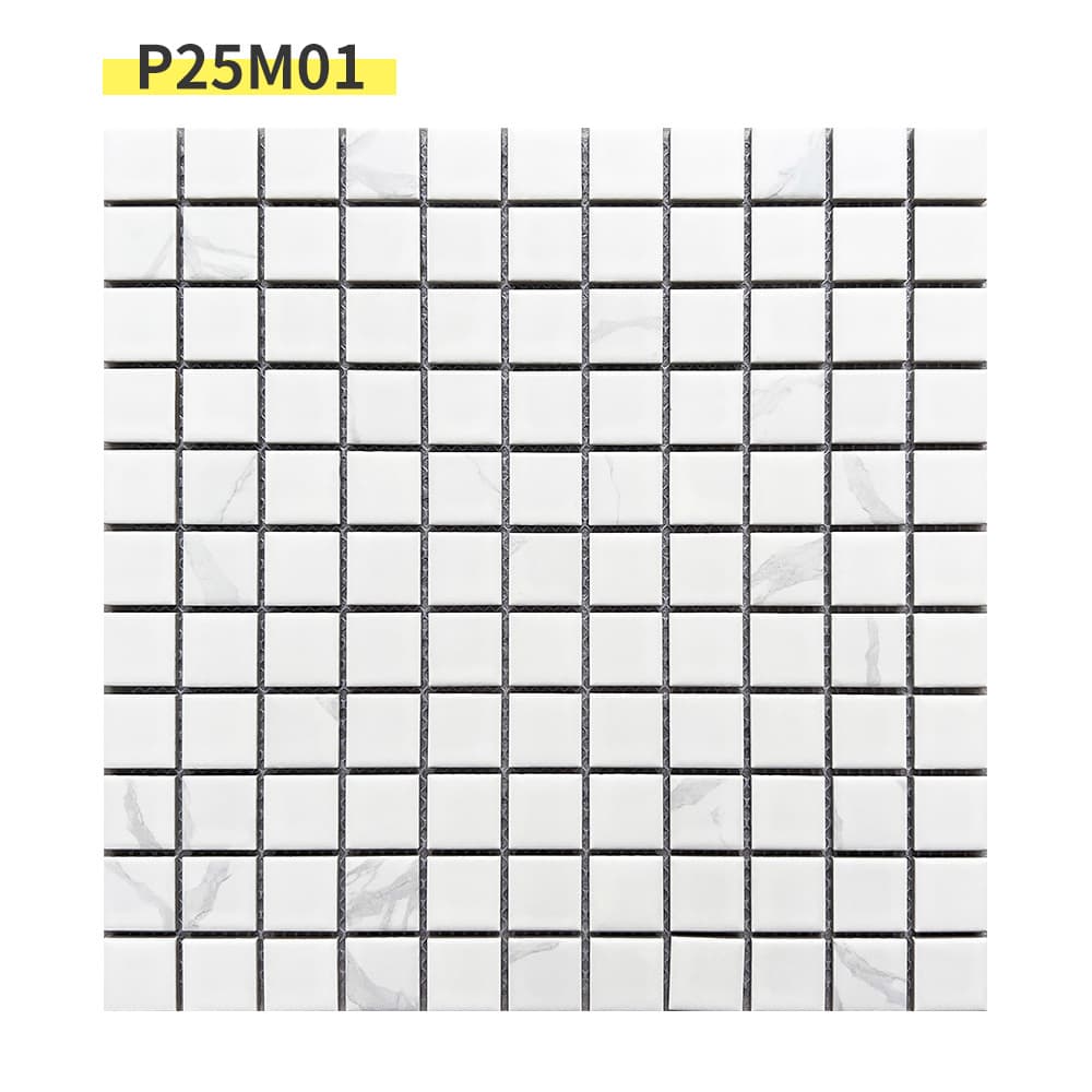 Inkjet p25m01