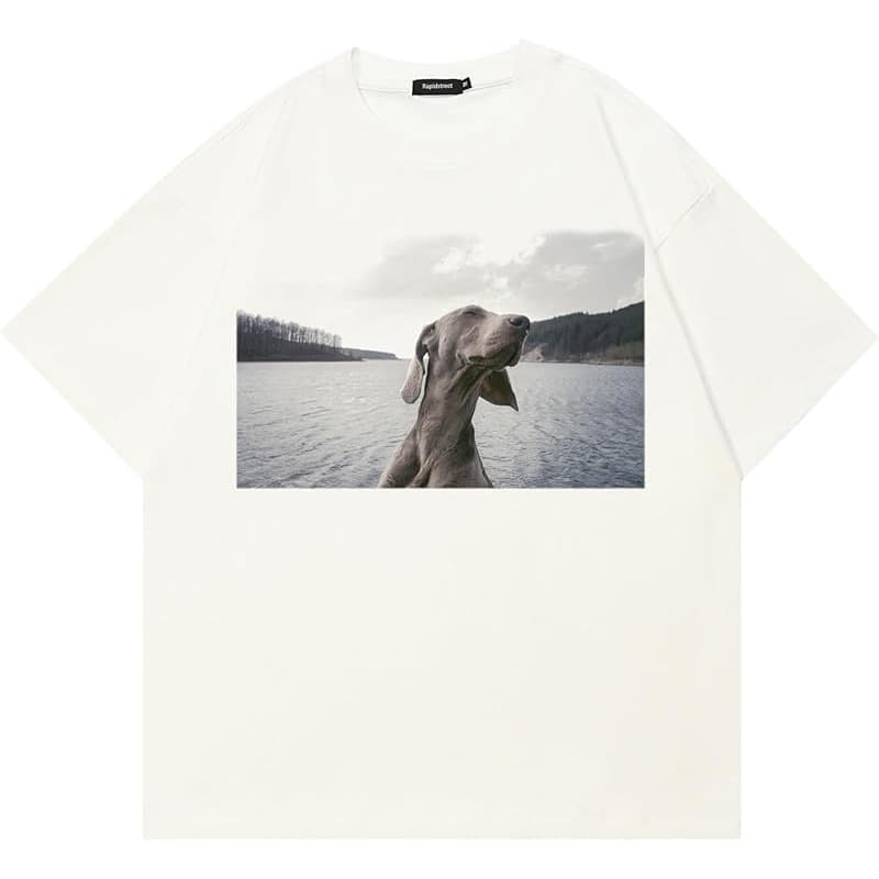 739 Beige White