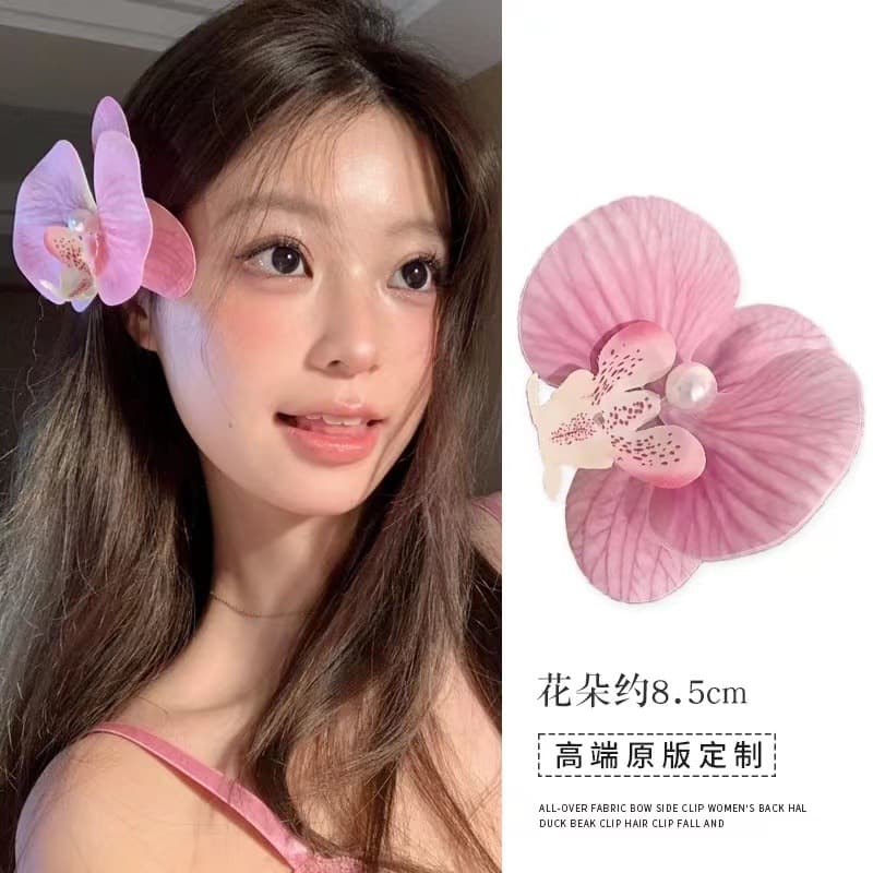 5081 phalaenopsis-white peach oolong