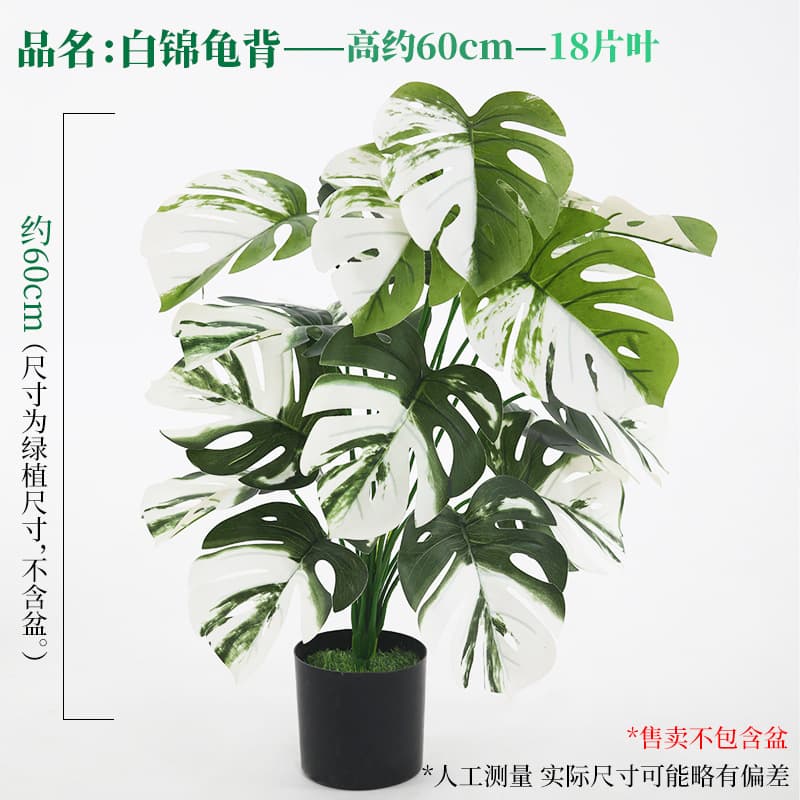 18-leaf white brocade turtle leaf