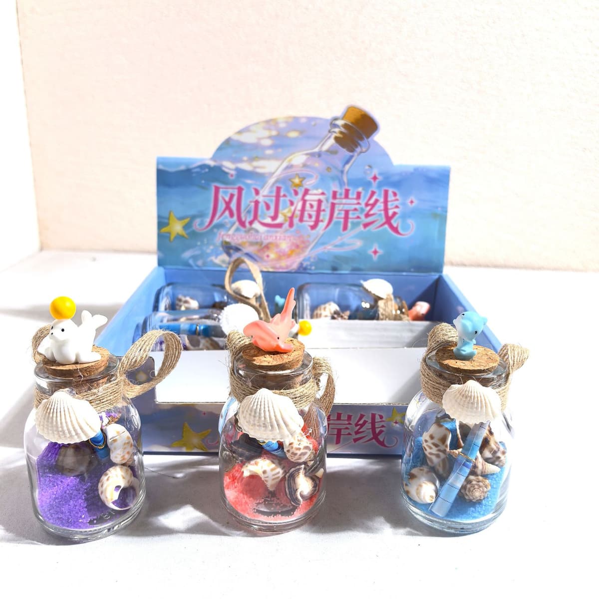 1408 wind on the coastline [6/box]