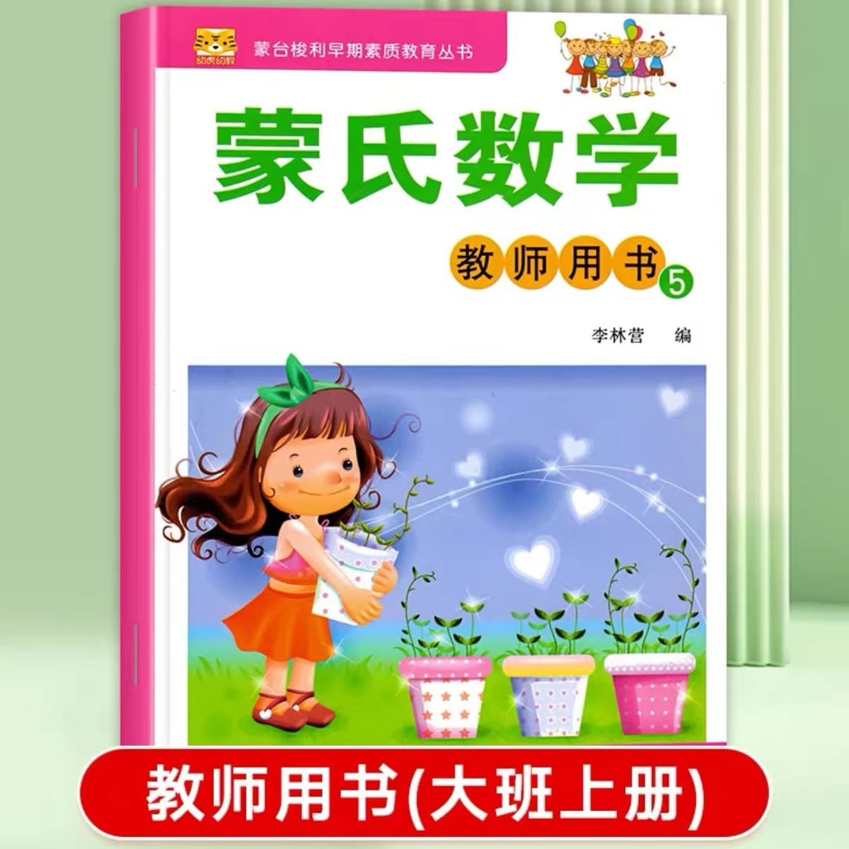 Teacher's book 5