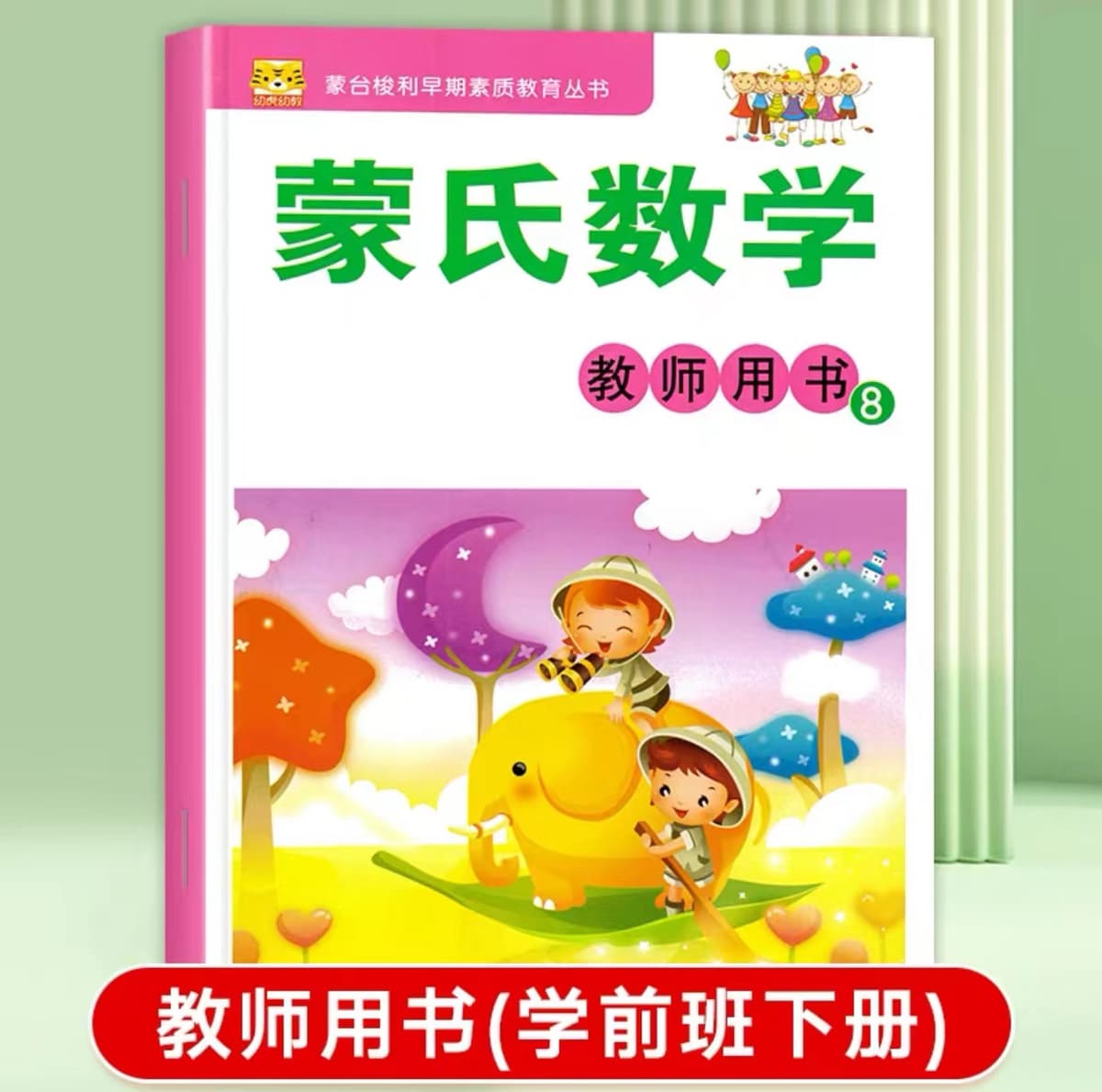 Teacher's book 8