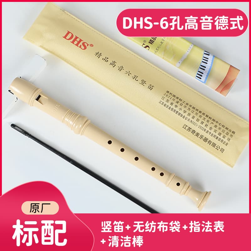 Dhs six-hole recorder