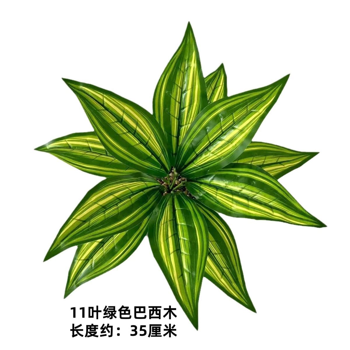 11 leaves green brazilian wood